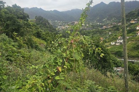 Tomt i Machico, Madeira, Machico - € 160 000 | Ref: 146640 - foto 8