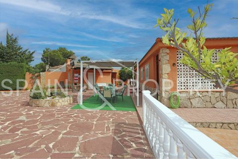 Villa a Turis, Valencia, Turis - € 315.000 | Ref: 091411 - foto 10