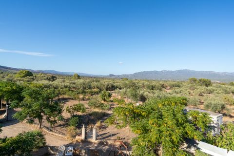 Landejendom i Xerta, Tarragona, Xerta - € 250.000 | Ref: 269 - foto 45