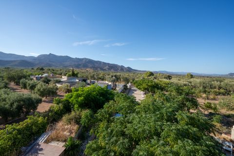 Landejendom i Xerta, Tarragona, Xerta - € 250.000 | Ref: 269 - foto 39