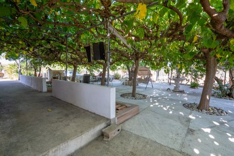 Landejendom i Xerta, Tarragona, Xerta - € 250.000 | Ref: 269 - foto 38