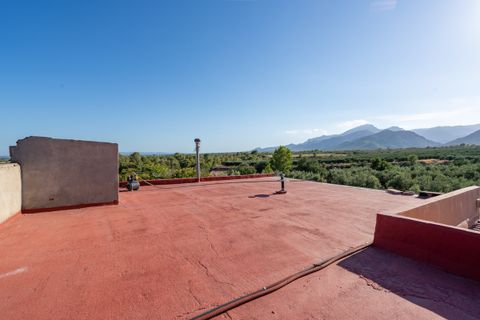 Landejendom i Xerta, Tarragona, Xerta - € 250.000 | Ref: 269 - foto 42