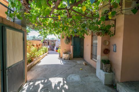 Landejendom i Xerta, Tarragona, Xerta - € 250.000 | Ref: 269 - foto 37