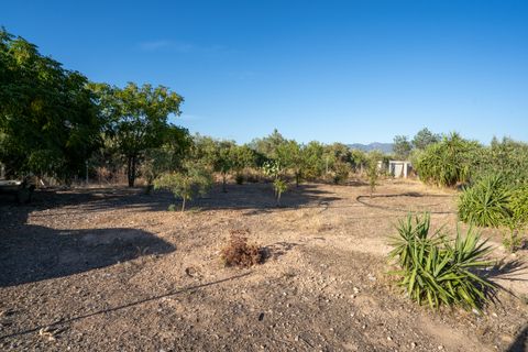 Landejendom i Xerta, Tarragona, Xerta - € 250.000 | Ref: 269 - foto 40