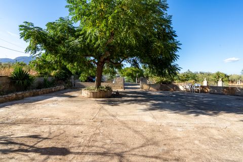 Landejendom i Xerta, Tarragona, Xerta - € 250.000 | Ref: 269 - foto 36