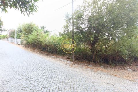 Helårsgrund i Terras de Bouro, Braga, Terras de Bouro - € 45.000 | Ref: ONE141494-46 - foto 2