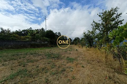 Helårsgrund i Terras de Bouro, Braga, Terras de Bouro - € 45.000 | Ref: ONE141494-46 - foto 5