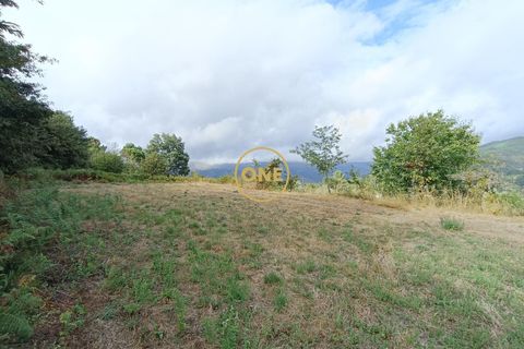 Helårsgrund i Terras de Bouro, Braga, Terras de Bouro - € 45.000 | Ref: ONE141494-46 - foto 18
