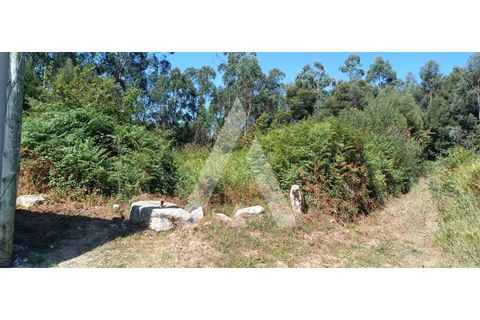 Helårsgrund i Seixezelo, Porto, Seixezelo - € 155.000 | Ref: 1360086/25PN - foto 5
