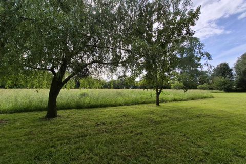 Terra a Champagne, Sarthe, Champagne - € 15.800 | Ref: 51_BMN-0024934 - foto 3