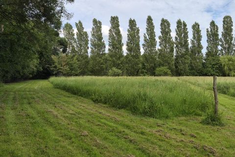 Terra a Champagne, Sarthe, Champagne - € 15.800 | Ref: 51_BMN-0024934 - foto 4