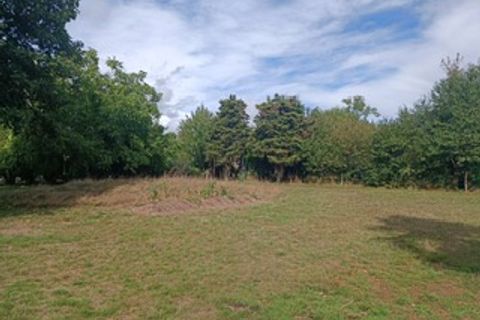 Helårsgrund i Laval, Mayenne, Laval - € 105.400 | Ref: 114_NPR-0024918 - foto 7