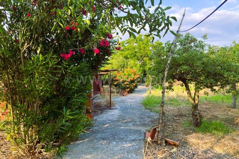 Villa i Tomar, Santarem, Tomar - € 205.000 | Ref: 395250087 - foto 9