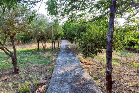 Villa i Tomar, Santarem, Tomar - € 205.000 | Ref: 395250087 - foto 8