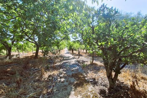 Villa i Tomar, Santarem, Tomar - € 205.000 | Ref: 395250087 - foto 10