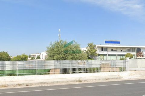 Erhvervsejendom i Modugno, Bari, Modugno - € 1.200.000 | Ref: 11900/2025 - foto 2