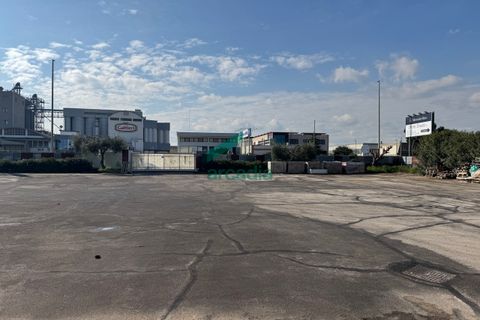 Erhvervsejendom i Modugno, Bari, Modugno - € 1.200.000 | Ref: 11900/2025 - foto 15