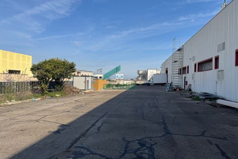 Erhvervsejendom i Modugno, Bari, Modugno - € 1.200.000 | Ref: 11900/2025 - foto 19