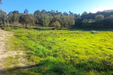 Helårsgrund i Mafra, Lisbon, Mafra - € 194.000 | Ref: 730T - foto 1