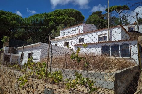 Villa in Alcabideche, Lisbon, Alcabideche - € 1.300.000 | Ref: MORMJC142 - foto 42