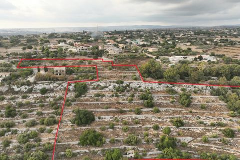 Helårsgrund i Modica, Ragusa, Modica - € 50.000 | Ref: PS 01 - foto 3