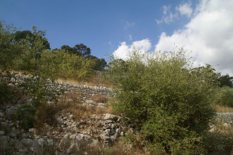Helårsgrund i Modica, Ragusa, Modica - € 50.000 | Ref: PS 01 - foto 10