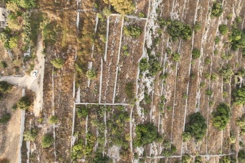 Helårsgrund i Modica, Ragusa, Modica - € 50.000 | Ref: PS 01 - foto 21