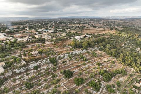 Helårsgrund i Modica, Ragusa, Modica - € 50.000 | Ref: PS 01 - foto 25