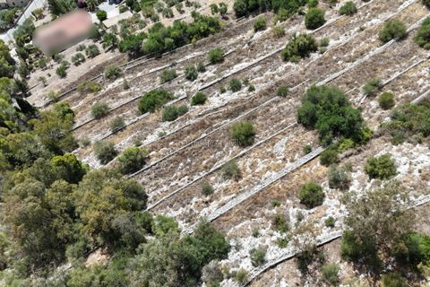 Helårsgrund i Modica, Ragusa, Modica - € 50.000 | Ref: PS 01 - foto 27