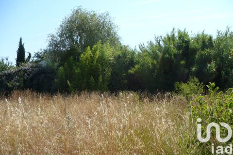 Terra a Manosque, Alpes-de-Haute-Provence, Manosque - € 416.000 | Ref: 16386 - foto 2