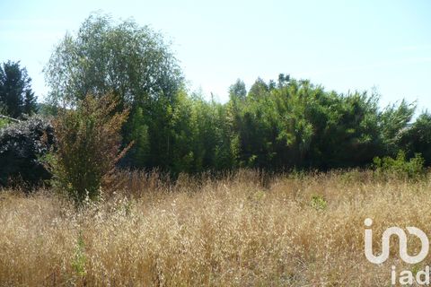 Terra a Manosque, Alpes-de-Haute-Provence, Manosque - € 416.000 | Ref: 16386 - foto 4