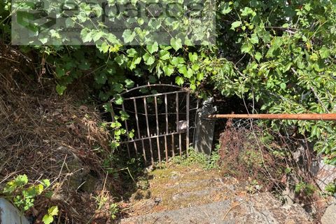 Villa i Fundao, Castelo Branco, Fundao - € 100.000 | Ref: 5804/AG_CP - foto 46