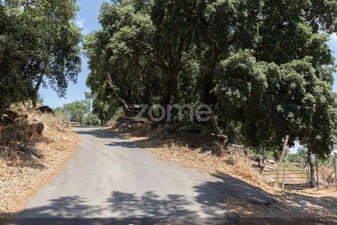 Farm i Loures, Lisbon, Loures - € 39.000 | Ref: ZMPT580061 - foto 2