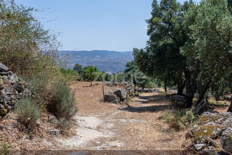 Farm i Loures, Lisbon, Loures - € 39.000 | Ref: ZMPT580061 - foto 3
