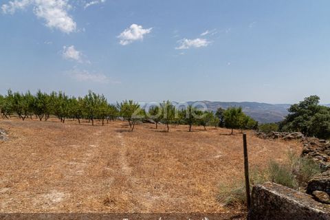Farm i Loures, Lisbon, Loures - € 39.000 | Ref: ZMPT580061 - foto 4