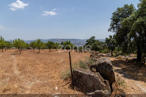 Farm i Loures, Lisbon, Loures - € 39.000 | Ref: ZMPT580061 - foto 5