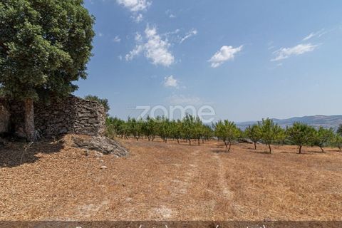 Farm i Loures, Lisbon, Loures - € 39.000 | Ref: ZMPT580061 - foto 6