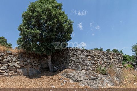 Farm i Loures, Lisbon, Loures - € 39.000 | Ref: ZMPT580061 - foto 9