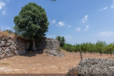 Farm i Loures, Lisbon, Loures - € 39.000 | Ref: ZMPT580061 - foto 10