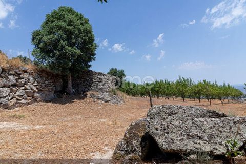 Farm i Loures, Lisbon, Loures - € 39.000 | Ref: ZMPT580061 - foto 11