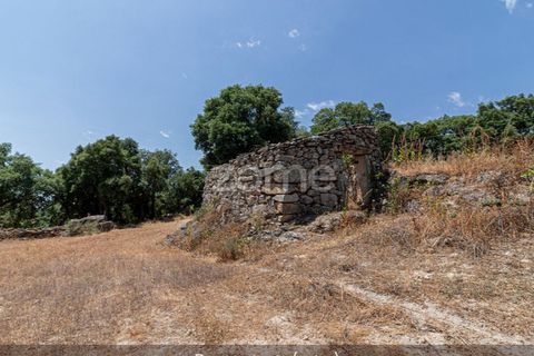 Farm i Loures, Lisbon, Loures - € 39.000 | Ref: ZMPT580061 - foto 13