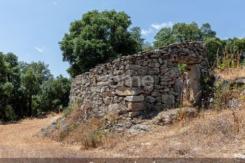 Farm i Loures, Lisbon, Loures - € 39.000 | Ref: ZMPT580061 - foto 14