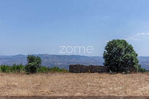 Farm i Loures, Lisbon, Loures - € 39.000 | Ref: ZMPT580061 - foto 18
