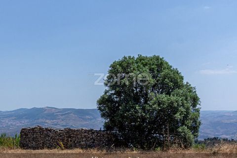 Farm i Loures, Lisbon, Loures - € 39.000 | Ref: ZMPT580061 - foto 19