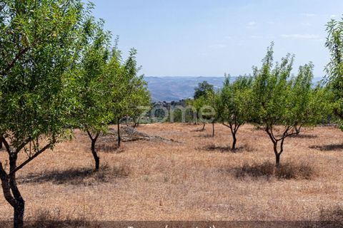 Farm i Loures, Lisbon, Loures - € 39.000 | Ref: ZMPT580061 - foto 20