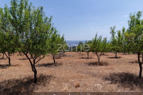 Farm i Loures, Lisbon, Loures - € 39.000 | Ref: ZMPT580061 - foto 21