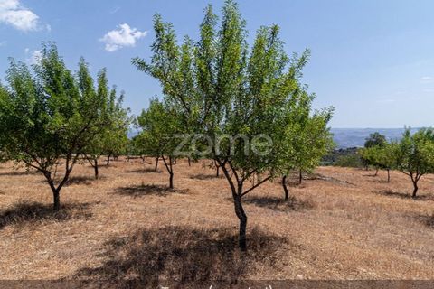Farm i Loures, Lisbon, Loures - € 39.000 | Ref: ZMPT580061 - foto 22