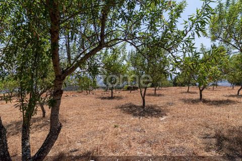 Farm i Loures, Lisbon, Loures - € 39.000 | Ref: ZMPT580061 - foto 23