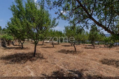 Farm i Loures, Lisbon, Loures - € 39.000 | Ref: ZMPT580061 - foto 24