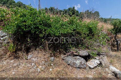 Farm i Loures, Lisbon, Loures - € 39.000 | Ref: ZMPT580061 - foto 25